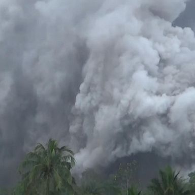 VIDEO: Search underway for survivors after volcano erupts in Indonesia