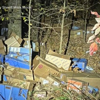 VIDEO: FedEx driver accused of dumping hundreds of packages into ravine