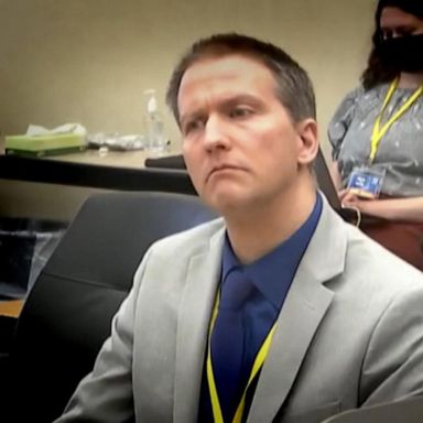 VIDEO: Former officer Derek Chauvin pleads guilty to federal charges