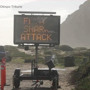 VIDEO: Surfer dead after apparent shark attack in California