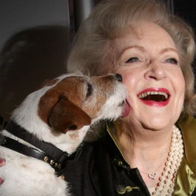 VIDEIO: Remembering beloved actress Betty White