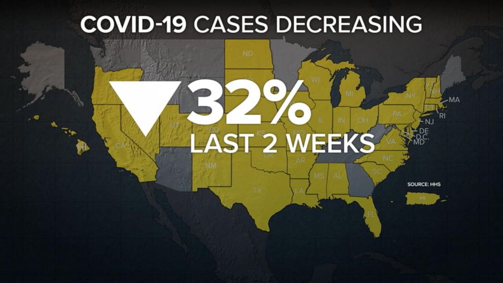 Video New COVID-19 cases fell across the US - ABC News