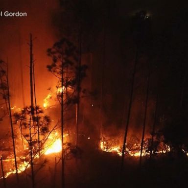 VIDEO: Urgent evacuations underway amid Florida Panhandle wildfire