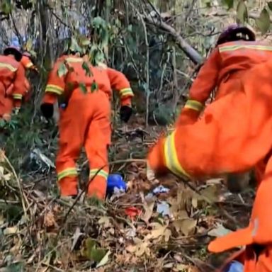 VIDEO: Deadly Boeing 737 crash in mountainous region of China