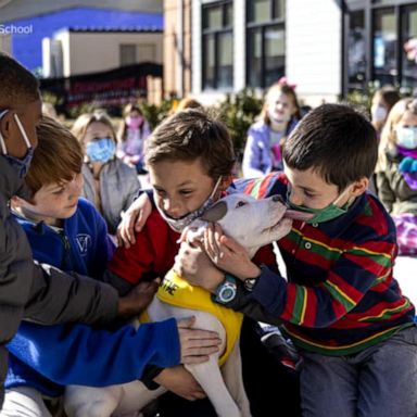 VIDEO: Students write letters on behalf of adoptable animals