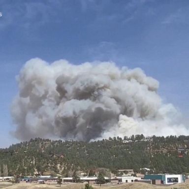 VIDEO: Deadly wildfire in New Mexico fueled by dry conditions