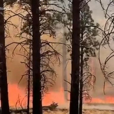 VIDEO: Hundreds forced to flee wildfire