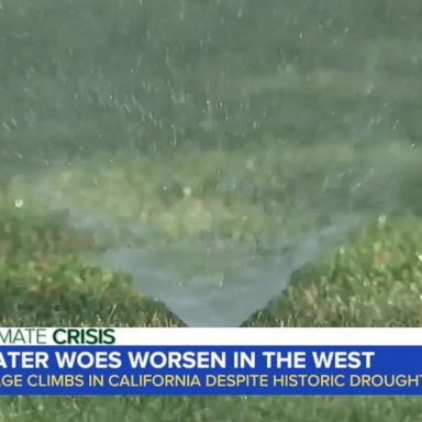 VIDEO: Water woes worsen in the West