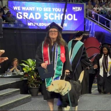 VIDEO: Veteran graduates college with help of service dog