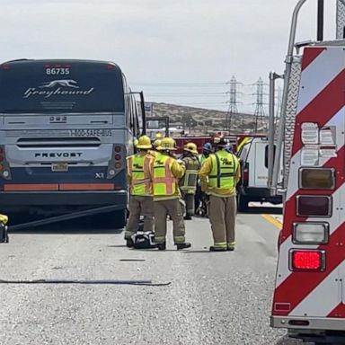 VIDEO: At least 12 injured in Greyhound bus crash