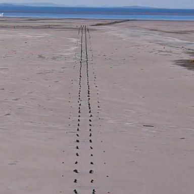 VIDEO: Great Salt Lake hits historic low