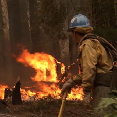 VIDEO: Firefighters battling Yosemite wildfire