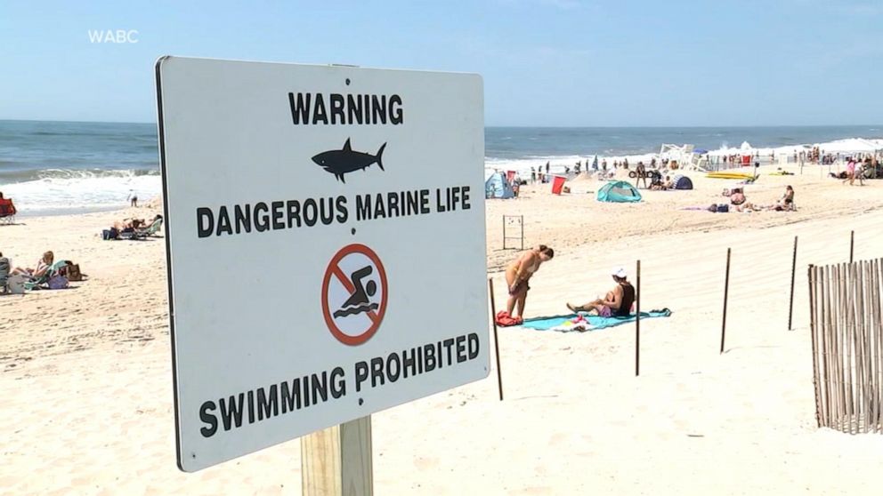 Heat Wave Brings Shark Sightings Close to Shore in New York, Officers Declare "High Alert"