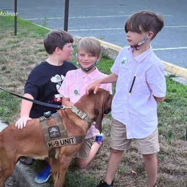 VIDEO: Police dog saves 3 kids lost in New Jersey woods