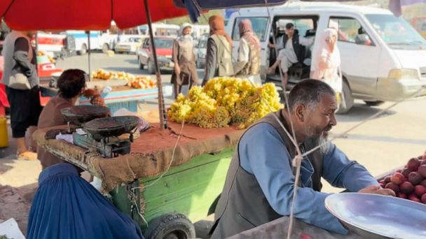 Warning signs that Afghanistan is in economic free fall after Taliban takeover