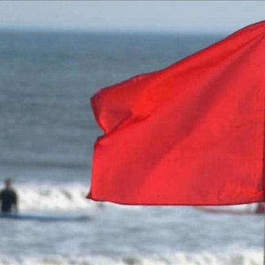 VIDEO: 10-year-old boy attacked by shark in Florida