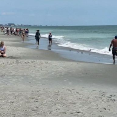 VIDEO: Two people attacked by sharks on the same day in Myrtle Beach 