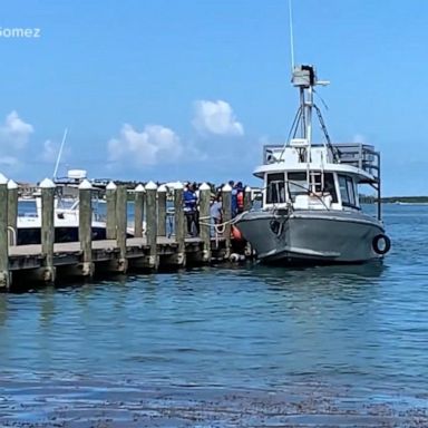 VIDEO: 1 dead after deadly shark attack in Bahamas 