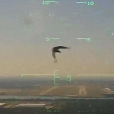 VIDEO: Newly released video shows terrifying moments bird flew into military jet