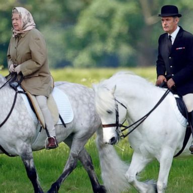 VIDEO: Queen Elizabeth's favorite pony part of last tribute