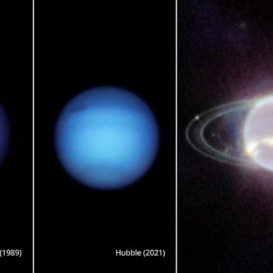 VIDEO: Webb telescope captures new image of Neptune