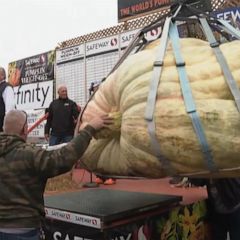 Pumpkin festival’s biggest champion weighs 2,560 pounds  