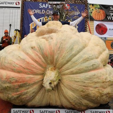 VIDEO: World’s biggest jack-o'-lantern crowned in Anoka, Minnesota