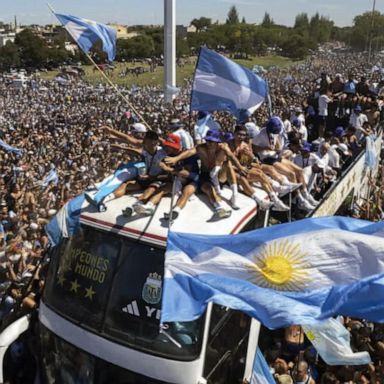 VIDEO: Argentina celebrates World Cup victory