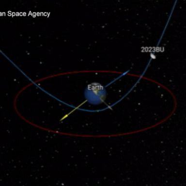 VIDEO: Asteroid to make close encounter with Earth