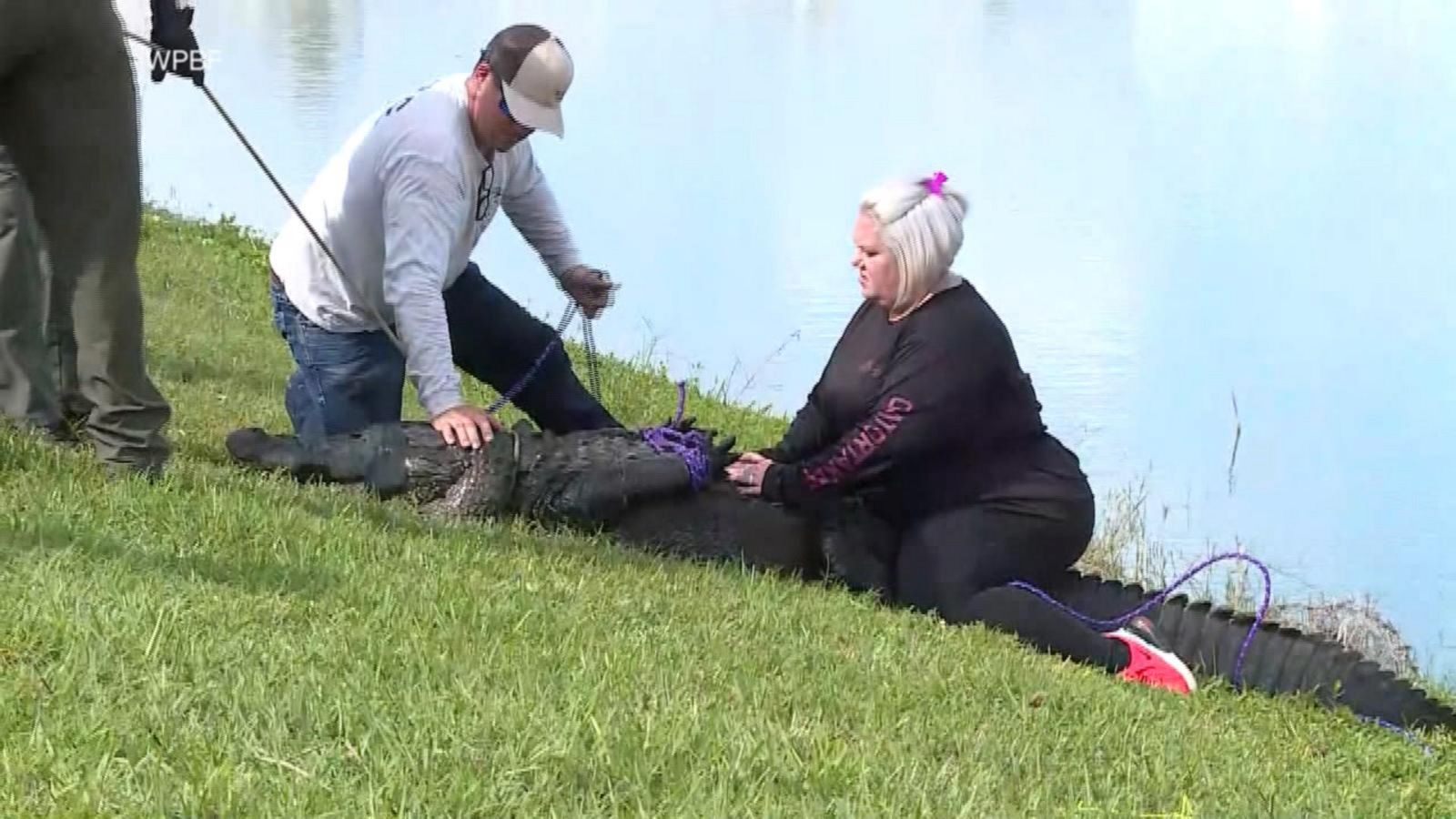 Gator kills 85yearold woman walking her dog  Good Morning America