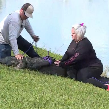 VIDEO: Gator kills 85-year-old woman walking her dog