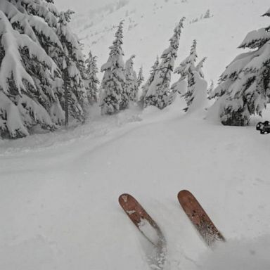 VIDEO: Skier rescues buried snowboarder in Washington state