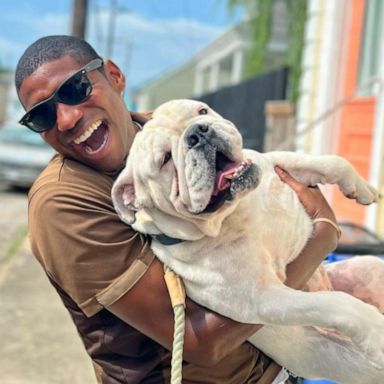 VIDEO: UPS driver goes viral with puppy pics