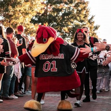 VIDEO: School mascot makes big reveal at graduation