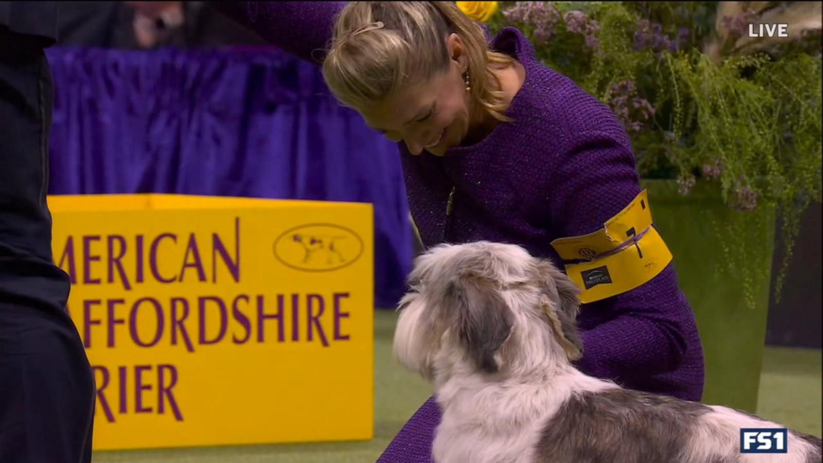 Westminster Dog Show winner makes history Good Morning America
