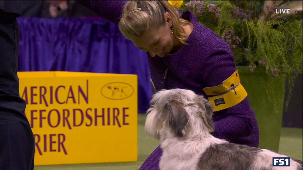 Westminster Dog Show winner makes history GMA