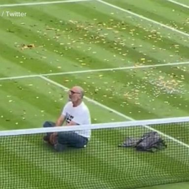 VIDEO: Climate activists interrupt Wimbledon