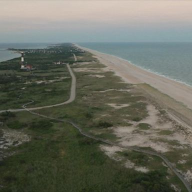 VIDEO: 5 people bitten by sharks in 2 days off Long Island 