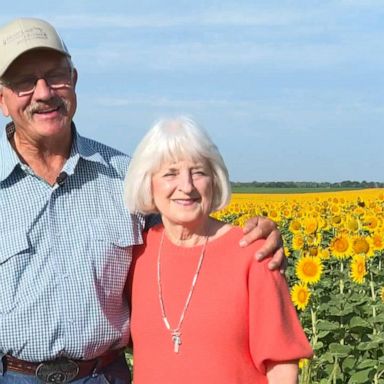 VIDEO: Farmer surprises wife with sunflower field anniversary gift