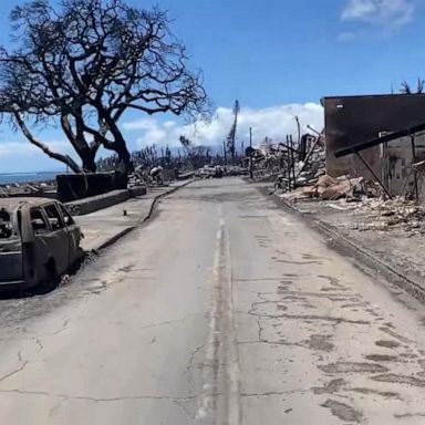 VIDEO: Maui wildfires death toll expected to rise amid search efforts