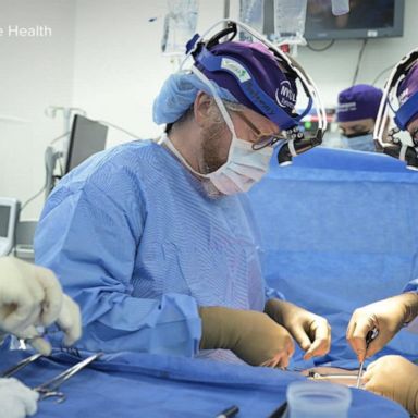 VIDEO: Doctors transplant gene edited pig kidney to brain dead patient