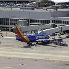 Bird strike forces emergency landing