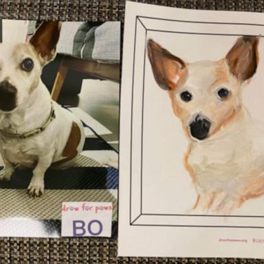 VIDEO: Senior living residents paint portraits of shelter dogs