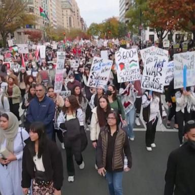 VIDEO: Palestinian protesters take to the streets of Washington