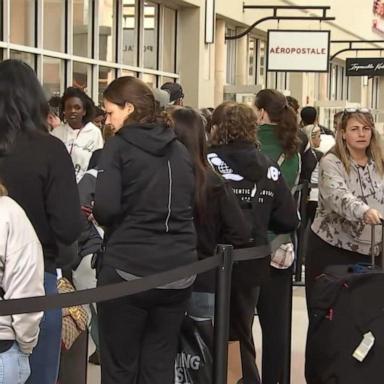 VIDEO: Numbers are in for Black Friday shopping