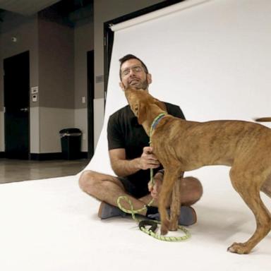 VIDEO: Photographer finds homes for hundreds of pets in need