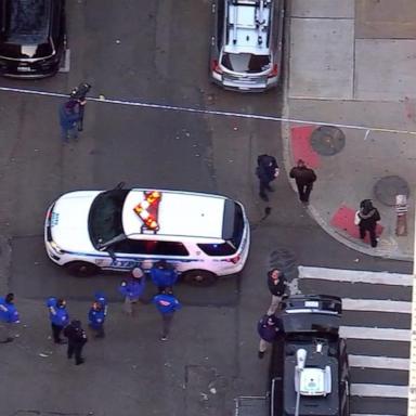 VIDEO: Suspect dead after dramatic NYC standoff with police 