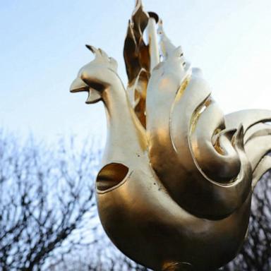 VIDEO: Notre Dame new rooster weathervane restored