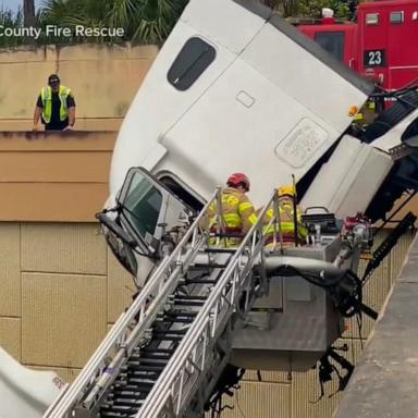 VIDEO: Trucker rescued in Florida after nearly running off overpass