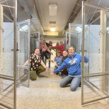 VIDEO: Gettysburg celebrates empty animal shelter